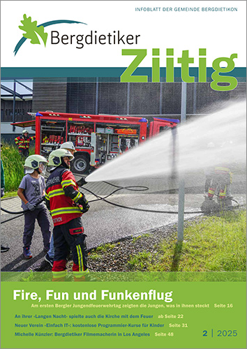 Titelbild BDZ 2/25